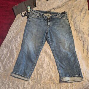 NEW Stitchfix Curvy Capri Silver Jeans Co